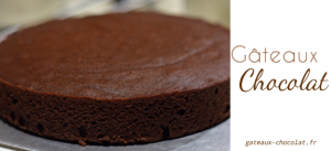 Recette gâteau au chocolat rapide avec le Multicuiseur Cookeo